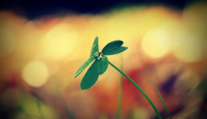 篮球巨星带伤上阵，个人荣誉遥不可及